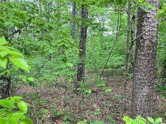 0 Deer Run Plat 12 Lot 19 Ln Unit MAR24016686, van Buren, MO 63965
