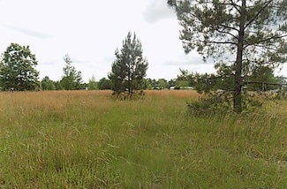 0 Hanging Moss Trail, Cottonwood, AL 36320