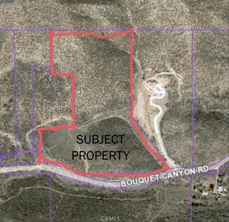 38351 Bouquet Canyon Rd, Leona Valley, CA 93551