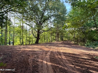 000 Mississippi 395, Noxapater, MS 39346