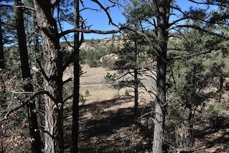 Lot 268-269 Rancho La Garita, Weston, CO 81091