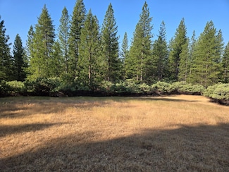 2.5 ac Sly Park Rd, Placerville, CA 95667
