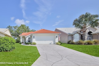 9135 Rhett Ln, Weeki Wachee, FL 34613