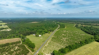 160 Underwood Rd, Reynolds, GA 31076