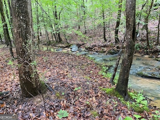 0 Far-A-way Rd, Elberton, GA 30635