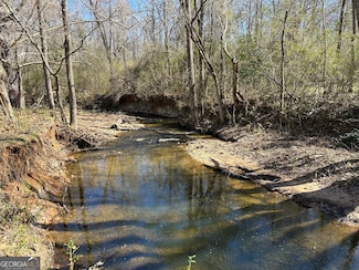 71 ACRES Roosevelt Hwy, Warm Springs, GA 31830