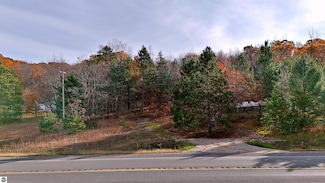 V/L Old Us Highway 131, Manton, MI 49663