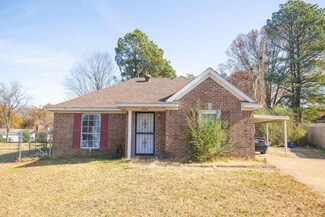 3592 Big Tree Cove, Memphis, TN 38128