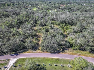 1 Ponderosa Trail, Wimauma, FL 33598