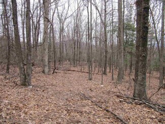 TBD Woolwine Hwy, Floyd, VA 24091
