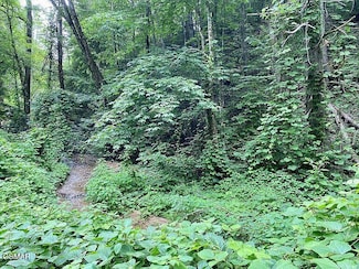 Lot 1 Black Walnut Flats Rd, Sevierville, TN 37862