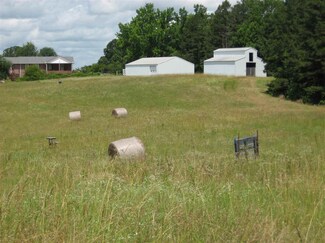 563 Litt Wilson Rd, Bethel Springs, TN 38315