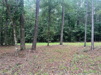 8.84 Ac Crowder Chapel Rd, Crestview, FL 32539