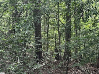 614 Rocky Trail, Westminster, SC 29693