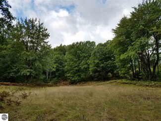 V/L Michamy Way, Manton, MI 49663