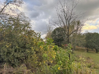 0 Mitchell Rd, New Market, TN 37820