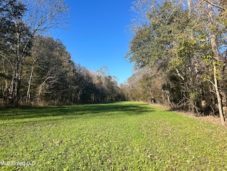 0 Goose Lake Rd, Rolling Fork, MS 39159