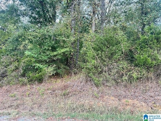 0 Liberty Rd Unit 1, Blountsville, AL 35031