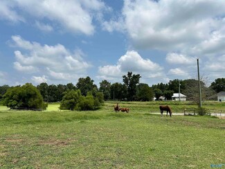 813 Copeland Rd NE, Arab, AL 35016