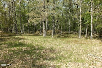 Lot 109 Oriole Ct, Hawley, PA 18428