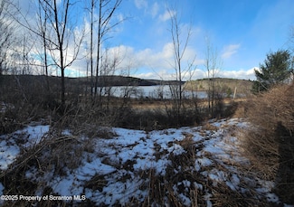 0 Bunker Hill Rd, Kingston Township, PA 18644