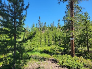 51 Golf Course Rd, Grand Lake, CO 80447