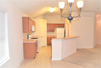 1007 Hamilton St, Alvin, TX 77511