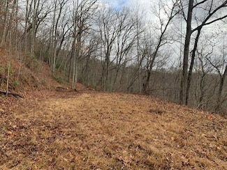Lot 36 Hickory Cove Rd, Bryson City, NC 28713