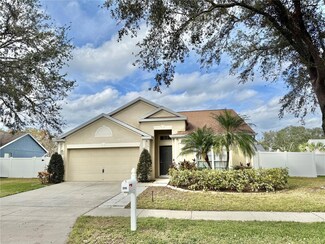 26901 Roseann Place, Lutz, FL 33559