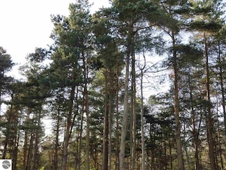 A Spruce Hollow Trace, Fife Lake Township, MI 49633