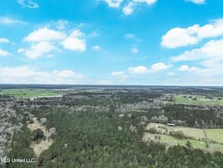 0 Highway 43 Parcel 1, Kiln, MS 39556