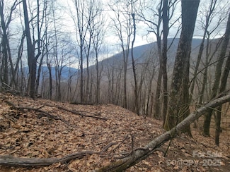 400 Mountain Laurel Rd Unit 57, Maggie Valley, NC 28751