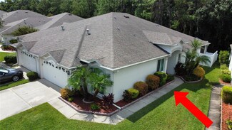 1647 Sassafras Dr, Wesley Chapel, FL 33543