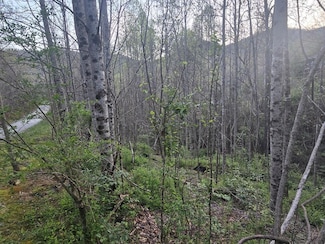 Lt 1 Running Water Cir, Sylva, NC 28779