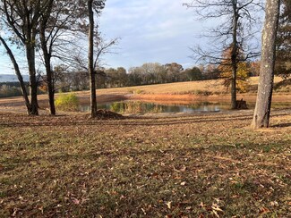 0 Clubhouse Dr Unit 1382050, Jasper, TN 37347