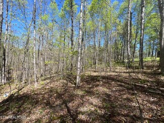 144 Copley Cemetery Rd, Jamestown, TN 38556