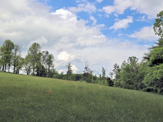 0 Franklin Pike SE Unit 23597083, Floyd, VA 24091