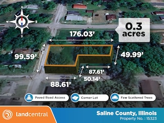 204 N Sherman St, Harrisburg, IL 62946