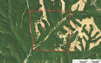 1006 Skaggs Hollow Rd, Pineville, MO 64856