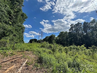 * Riverside Dr, McAdenville, NC 28101