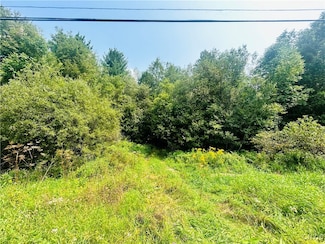 0 Maple St, Diana, NY 13648