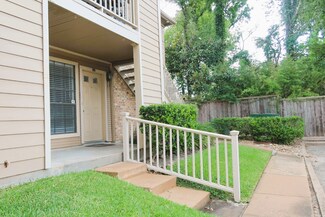 1311 Antoine Dr Unit 251, Houston, TX 77055