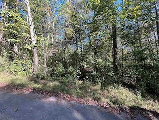 120 Saxony Ct, Burnside, KY 42519