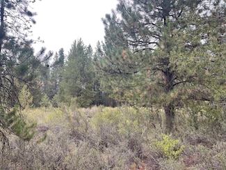 0 Mountain Lakes Dr Unit 5 220192560, Klamath Falls, OR 97601