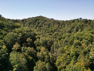 000 Blown Timber Rd, Chloe, WV 25235