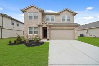 224 Little Spring Ct, Anahuac, TX 77514
