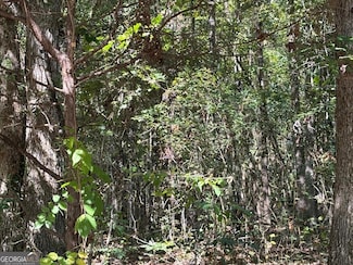 0 S Rhodes St Unit 10618488, Union Point, GA 30669