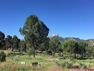 0 Road 35 Unit 20 735264, Mancos, CO 81328