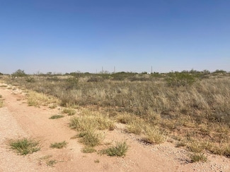 Lot 10E W County Road 149 Unit Lot 10, Midland, TX 79706