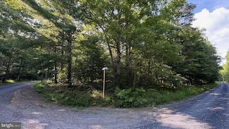 241 Mine Mountain Ln, Fort Valley, VA 22652
